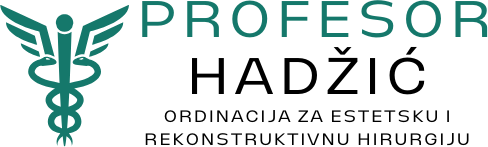 Profesor Hadžić